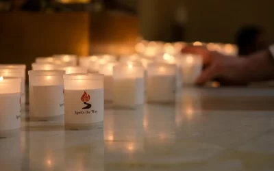 Illuminating our hearts on the synodal journey